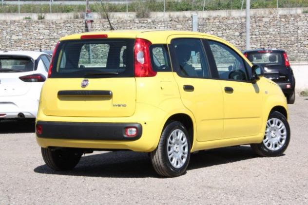 FIAT Panda 1.0 FireFly S&S Hybrid NUOVO rif. 23770217 - Foto 7