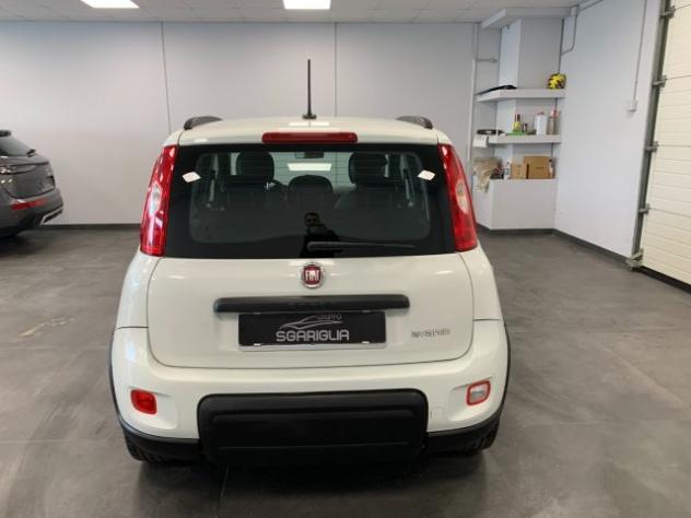 FIAT Panda 1.0 Benzina Hybrid City Life rif. 24052160 - Foto 5