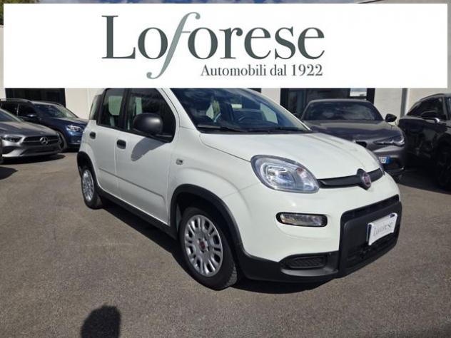 FIAT Panda 1.0 FireFly S&S Hybrid rif. 23786742