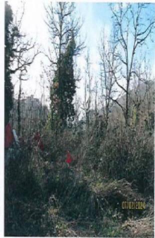 Immobile in asta di 161 m² in vendita a Spoleto - Foto 8