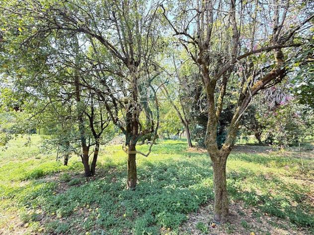 Cascina Mozzanica Lodi - Foto 3