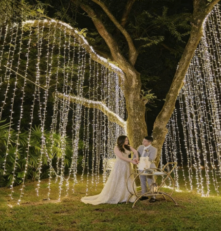 Illuminazione Decorazione Paesaggistica di Alberi Parchi Atmosfera Festiva - Foto 4