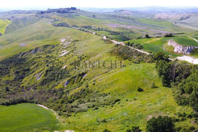 Nel Cuore delle Crete Senesi: 75 Ettari di Terreno Agricolo - Foto 2
