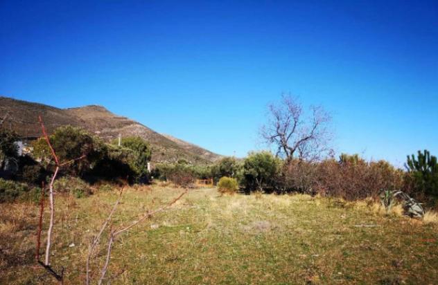 Immobile in asta di 7080 m² in vendita a Ceriale - Foto 7