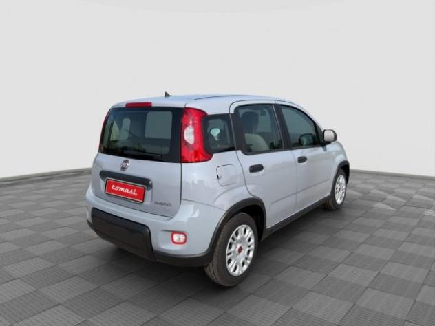 FIAT Panda Panda 1.0 FireFly Hybrid City Life rif. 24026722 - Foto 5