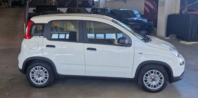 FIAT Panda Panda 1.0 hybrid s&s 70cv 5p.ti - Foto 6