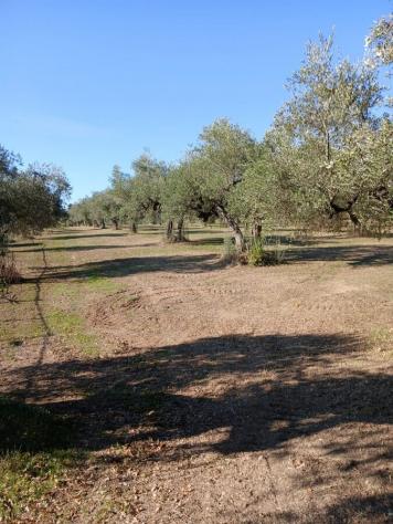 Magazzino in vendita a Loreto Aprutino - Foto 17