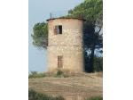 VICCHIO BORGHETTO COLONICO RIF V135