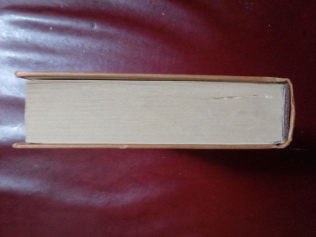 Libro: Stato scarlatto - David Aaron - Foto 4