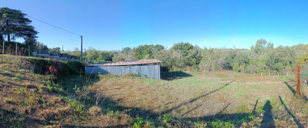POMEZIA VALLE GAIA MONTAGNANO TERRENO AGRICOLO 1500 MQ. - Foto 4