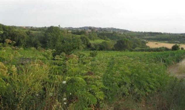Immobile in asta di 151463 m² in vendita a Grottaferrata - Foto 7