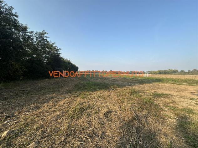 TERRENO AGRICOLO 4.400MQ - Foto 15