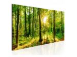 Quadro Foresta Illuminata ARREDALACASA