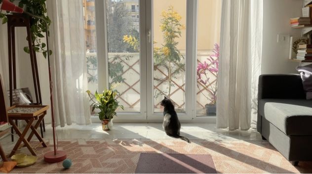 camera singola tutto incluso (casa con 2 gatti) - Foto 5