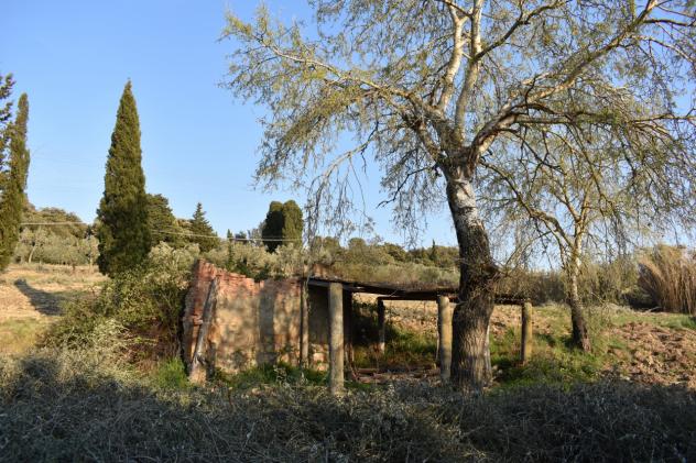 COLONICA di 347 mq (GAMBASSI TERME) rif. G 110 - Foto 9