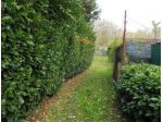 Immobile in asta di 7400 m² in vendita a Terranuova Bracciolini