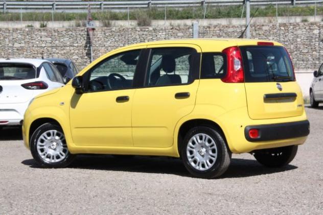 FIAT Panda 1.0 FireFly S&S Hybrid NUOVO rif. 23770217 - Foto 6