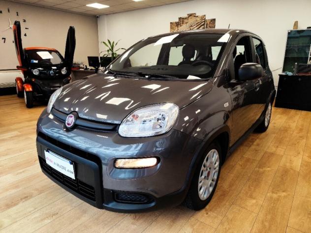 FIAT Panda 3ª serie Panda 1.0 FireFly S&S Hybrid - Foto 5