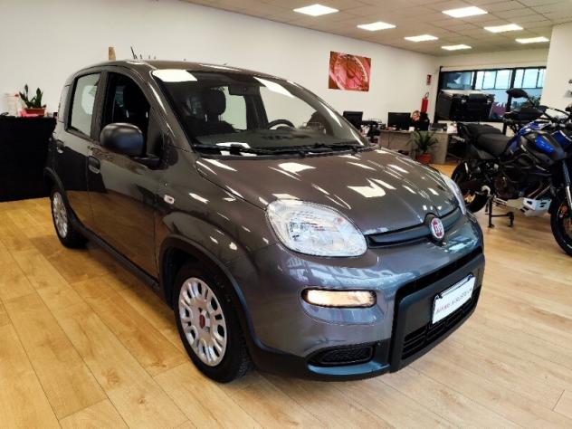 FIAT Panda 3ª serie Panda 1.0 FireFly S&S Hybrid - Foto 4