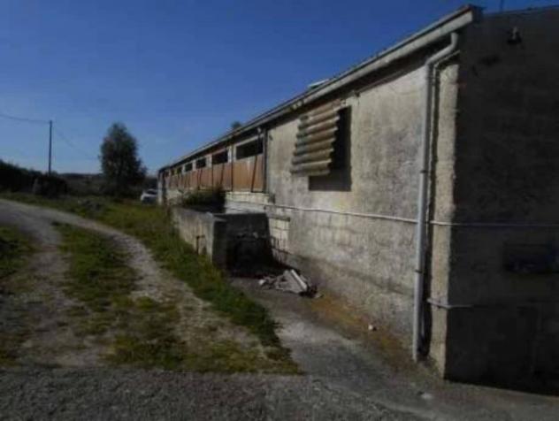 Immobile in asta di 1103 m² in vendita a Thiesi - Foto 9