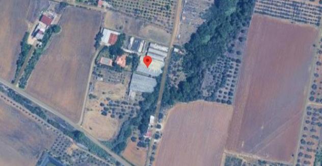 Immobile in asta di 984 m² in vendita a Bernalda - Foto 3