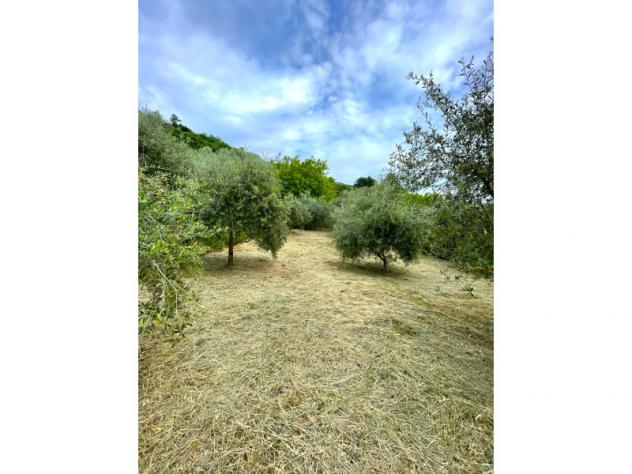 Agricolo in Via Madonna delle Vigne - Foto 10