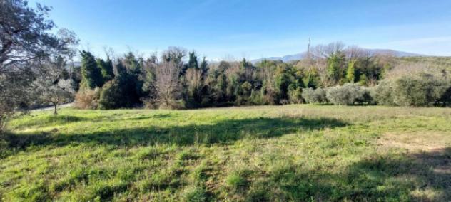 Immobile in asta di 6583 m² in vendita a Nereto - Foto 13