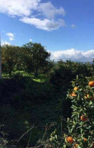 Immobile in asta di 146 m² con più di 5 locali e box auto in vendita a Lentini - Foto 7