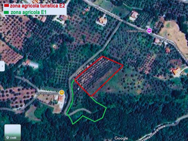 Agricolo in Via Provinciale - Foto 3