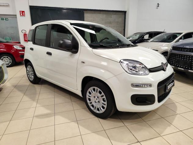 FIAT Pandina 1.0 FireFly 65cv S&S 6m Hybrid Pop - Foto 3
