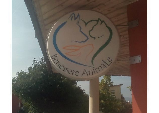 CEDO ATTIVITÀ DI TOELETTATURA
