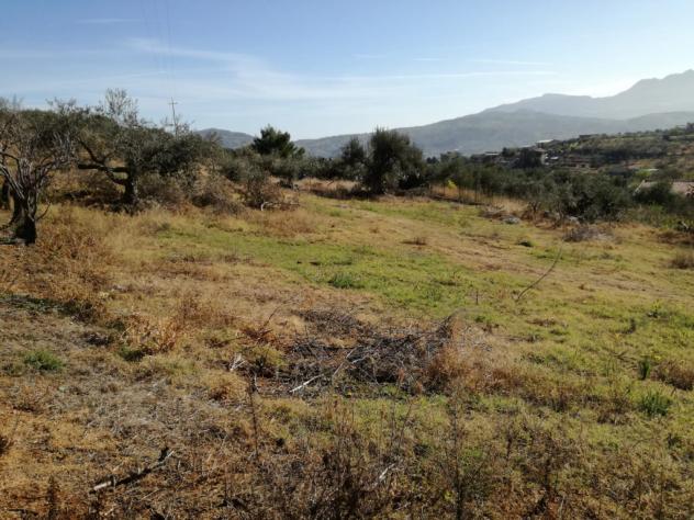 Agricolo in SP126 - Foto 15