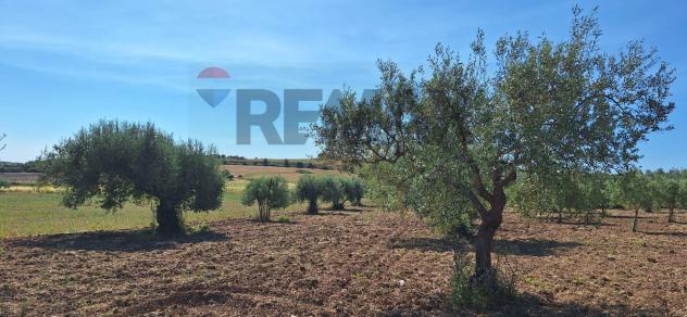 Terreno in vendita a Noto - Foto 10