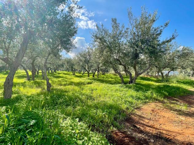 Villa in vendita a Castellammare del Golfo - Foto 6