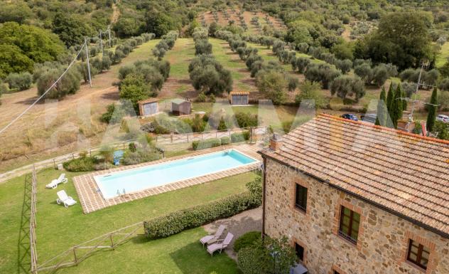 Appartamento in vendita a Cinigiano - Foto 4