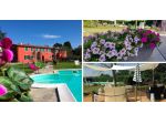 Bed&Breakfast in vendita a Fauglia 800 mq  Rif: 1261320