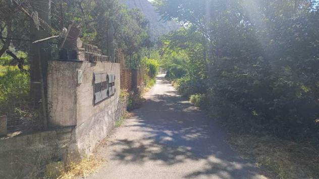 Vigneto in vendita a Castel San Giorgio - Foto 4