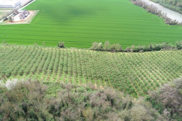 Agricolo in vendita a Cherasco - Foto 16