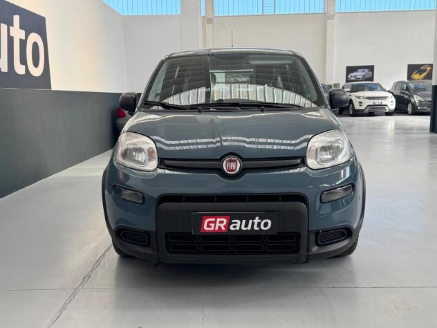 FIAT Panda Panda van 1.0 hybrid Street 70cv 4p.ti serie 4 E6d - Foto 3