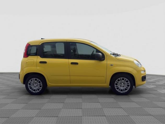 FIAT Panda Panda 1.0 FireFly S&S Hybrid rif. 23696947 - Foto 6