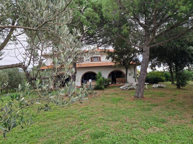 Colonica in vendita a Cecina 400 mq Rif: 1215949 - Foto 2