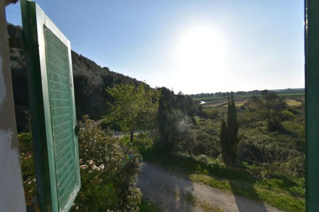 Terratetto in vendita a Filettole - Vecchiano 175 mq Rif: 1420562 - Foto 3