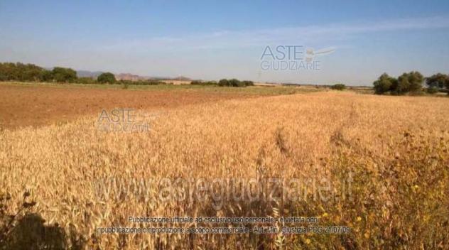 IMMOBILI-ALTRA CATEGORIA-Località Is Ollastu - Foto 3