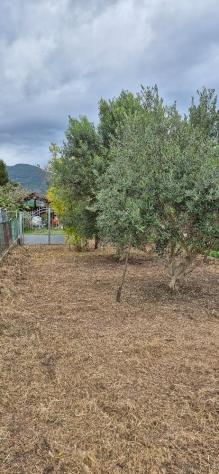 Terratetto in vendita a Gello - San Giuliano Terme 110 mq Rif: 1399634 - Foto 2