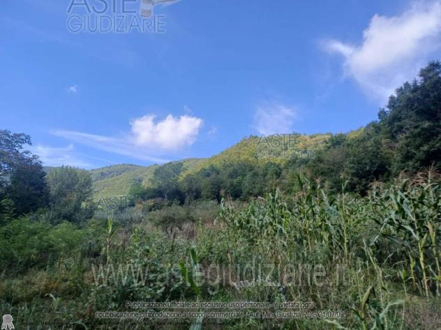 IMMOBILI-IMMOBILE RESIDENZIALE-Località Melesi - Foto 2