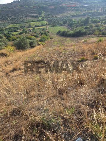 Terreno in vendita a Caltagirone - Foto 17
