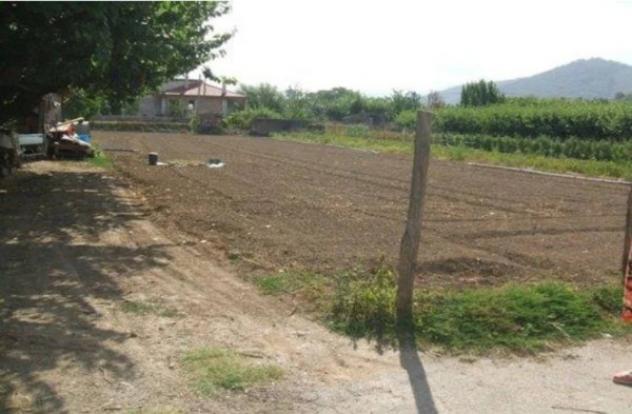 Immobile in asta di 2845 m² in vendita a Castel San Giorgio - Foto 2