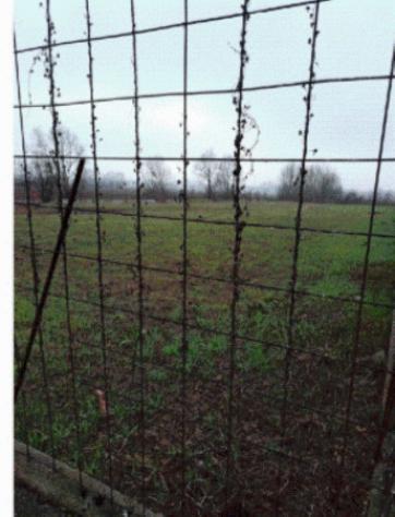 Immobile in asta di 2 m² in vendita a Pianiga - Foto 11