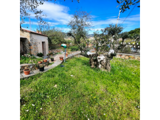 Porzione di casa in affitto a Sarzana