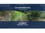 Immobile in asta di 768 m² in vendita a Calangianus